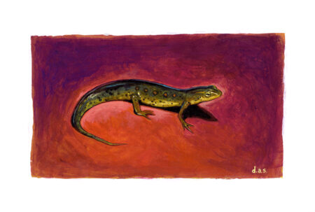 "Newt Room II" -- by Danny Schwartz