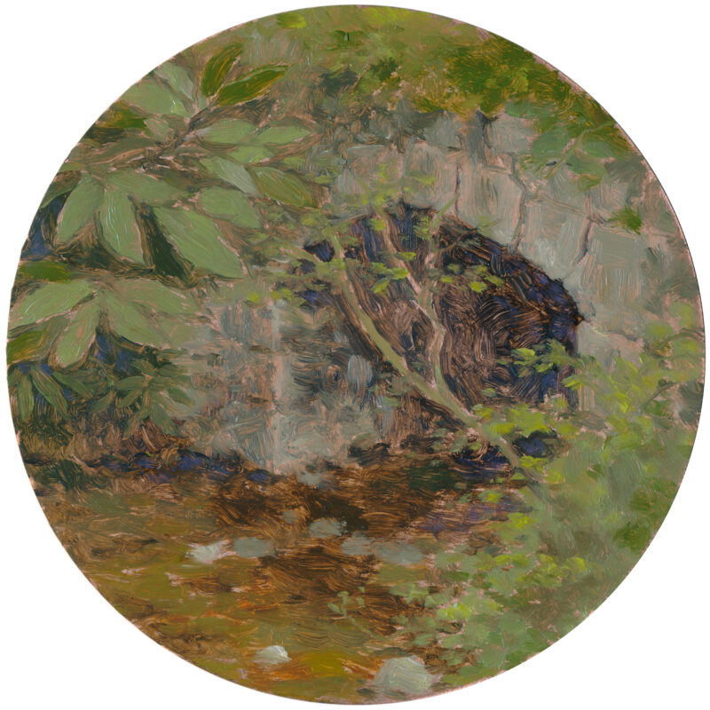 "Blue Ridge Parkway Tunnel" by Kaysha Siemens