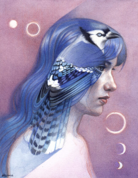 "Dreaming of Blue Jay" - by Angelika Rasmus