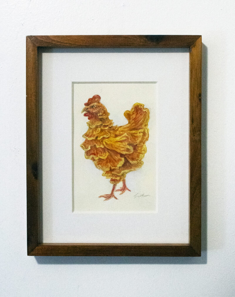 Chicken of the Woods framed, Caitlin Fowler