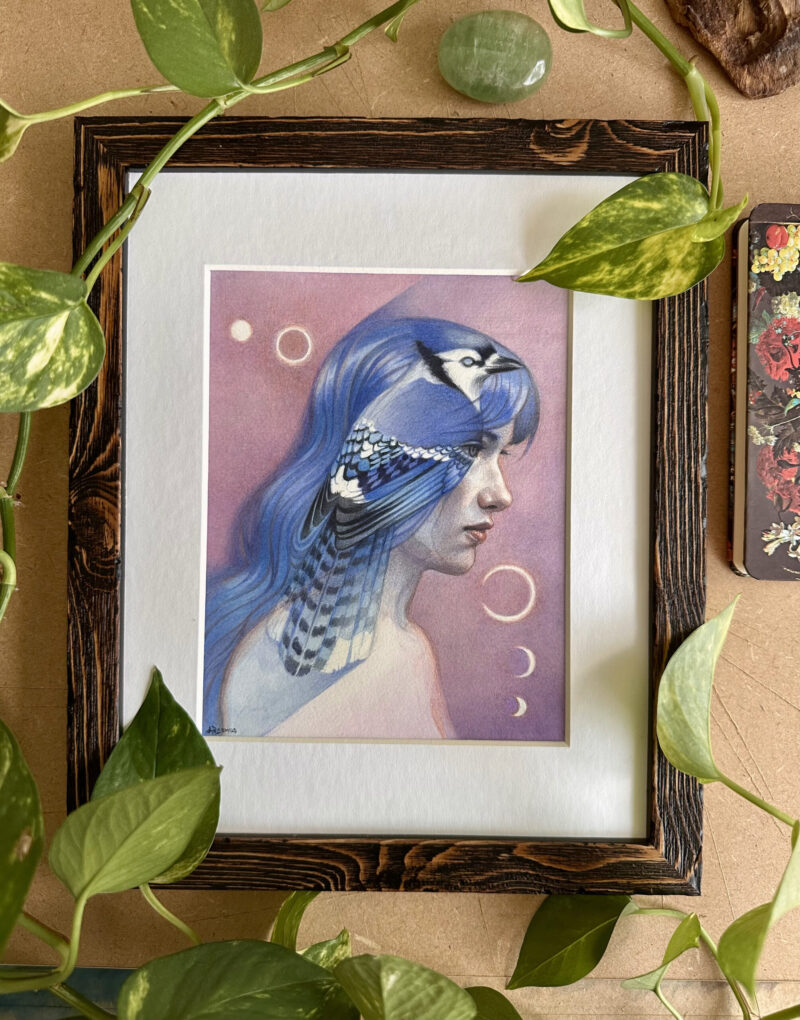 "Dreaming of Blue Jay" - by Angelika Rasmus