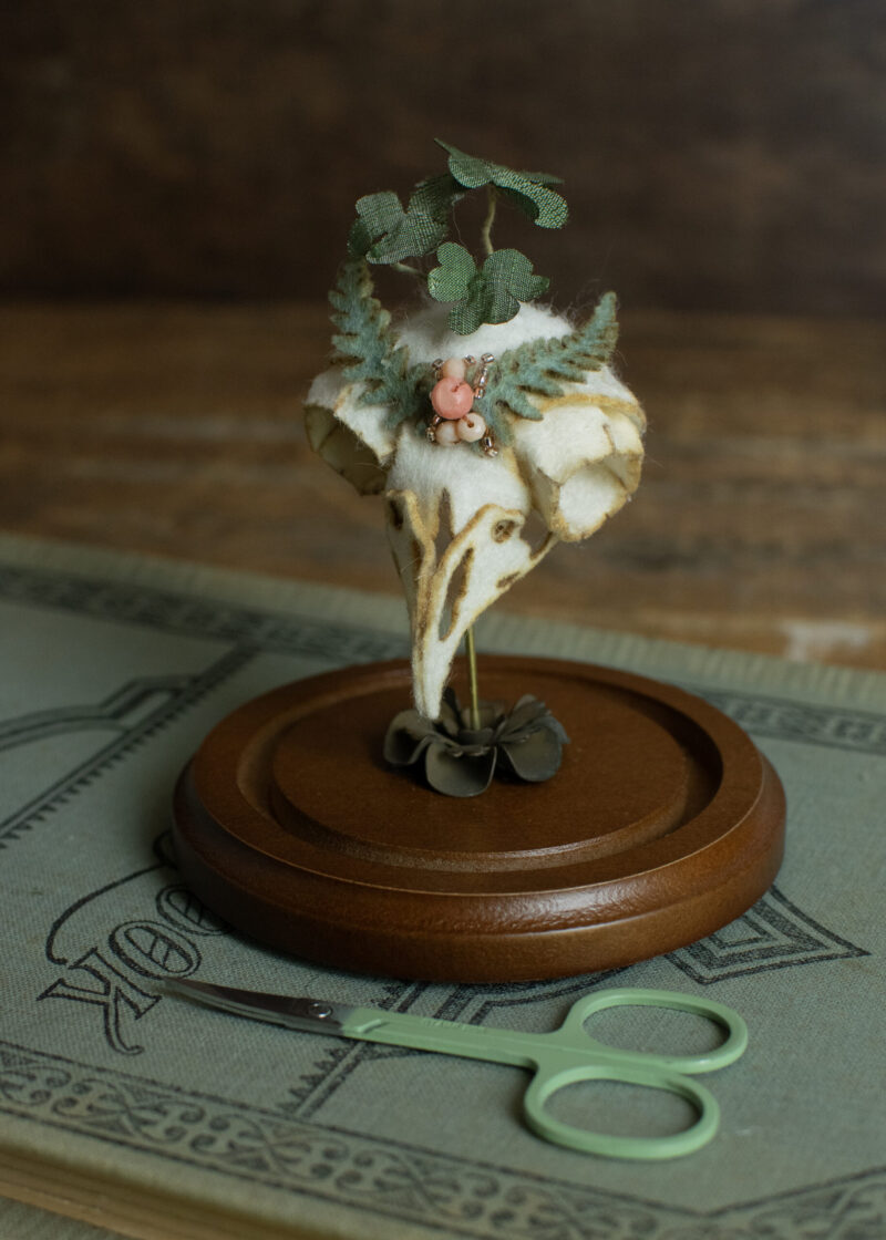 Clover By Lana Crooks