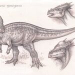 Pencil study of the dinosaur, Pachycephalosaurus, plus two smaller head studies of Stygimoloch and Dracorex.