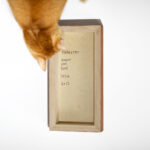 A photo showing the back of a wooden painting panel with the words "Tapestry, Sarah Van Rose, 2026, 6x12" written on the back in sharpie and an out of focus cat is smelling the painting.