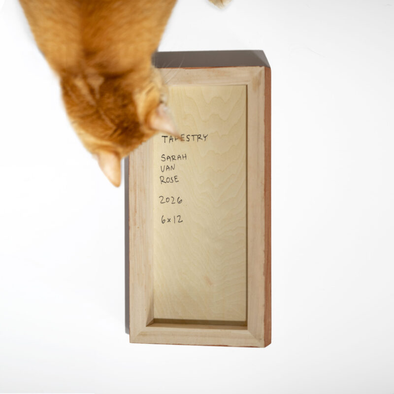 A photo showing the back of a wooden painting panel with the words "Tapestry, Sarah Van Rose, 2026, 6x12" written on the back in sharpie and an out of focus cat is smelling the painting.