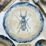 A hand-painted blue-and-white porcelain-style plate featuring intricate floral and vine motifs with a detailed beetle at the center. Inspired by antique Chinese ceramics and natural history collections, the artwork evokes the feeling of a treasured object displayed in a collector's cabinet of curiosities. The plate is photographed against a neutral background.