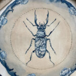A hand-painted blue-and-white porcelain-style plate featuring intricate floral and vine motifs with a detailed beetle at the center. Inspired by antique Chinese ceramics and natural history collections, the artwork evokes the feeling of a treasured object displayed in a collector's cabinet of curiosities. The plate is photographed against a neutral background.
