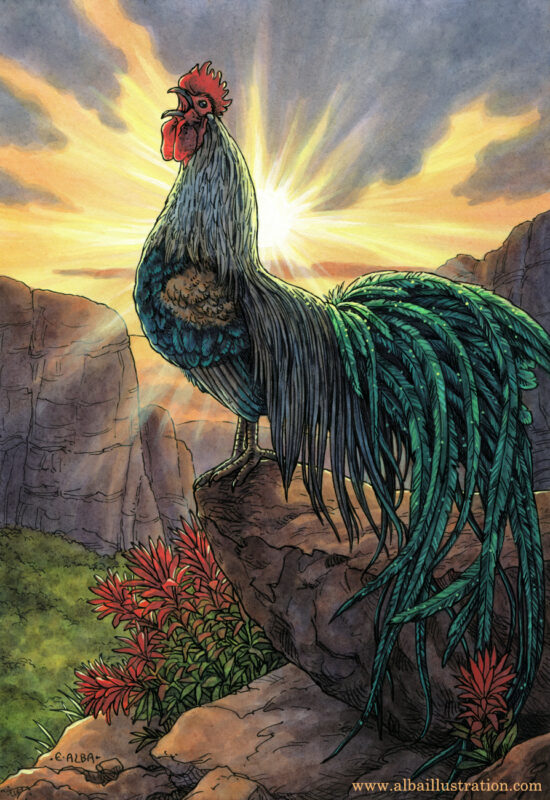 "The Rooster" by Elisabeth Alba