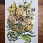 Watercolor painting of a moth surrounded by woodland sunflowers and ferns, and surrounded by a gold leaf moon.