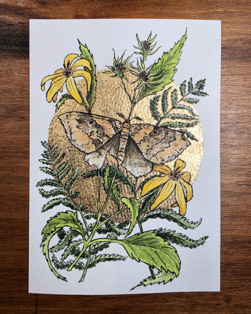 Watercolor painting of a moth surrounded by woodland sunflowers and ferns, and surrounded by a gold leaf moon.