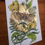 Watercolor painting of a moth surrounded by woodland sunflowers and ferns, and surrounded by a gold leaf moon.