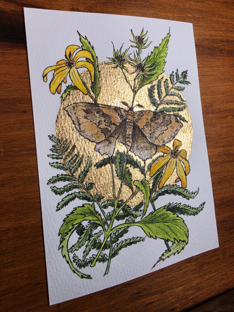 Watercolor painting of a moth surrounded by woodland sunflowers and ferns, and surrounded by a gold leaf moon.