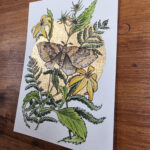 Watercolor painting of a moth surrounded by woodland sunflowers and ferns, and surrounded by a gold leaf moon.
