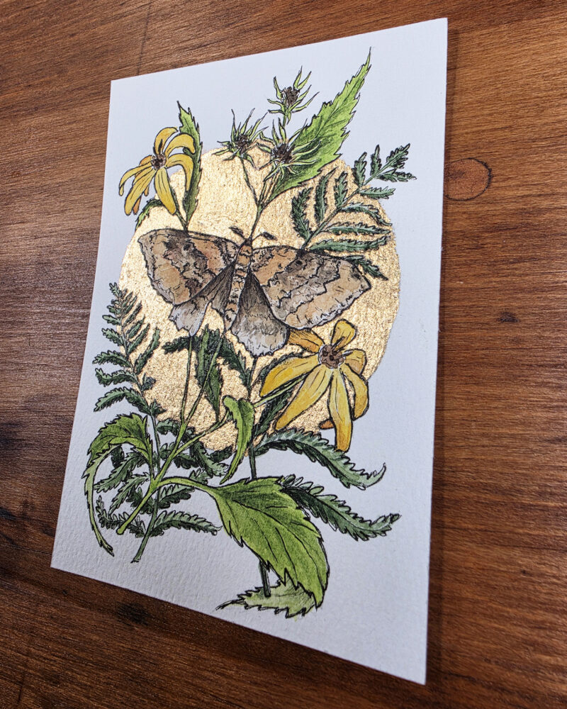 Watercolor painting of a moth surrounded by woodland sunflowers and ferns, and surrounded by a gold leaf moon.