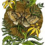 Watercolor painting of a moth surrounded by woodland sunflowers and ferns, and surrounded by a gold leaf moon.