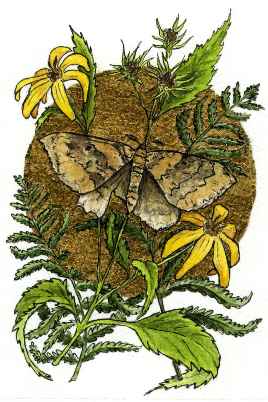 Watercolor painting of a moth surrounded by woodland sunflowers and ferns, and surrounded by a gold leaf moon.