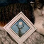 Buck Moon, vignette, cat for scale