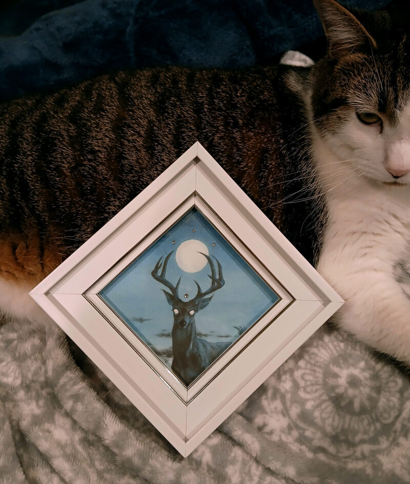 Buck Moon, vignette, cat for scale