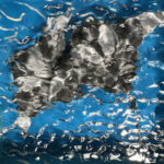 Manta Ray Duet (Close Up)