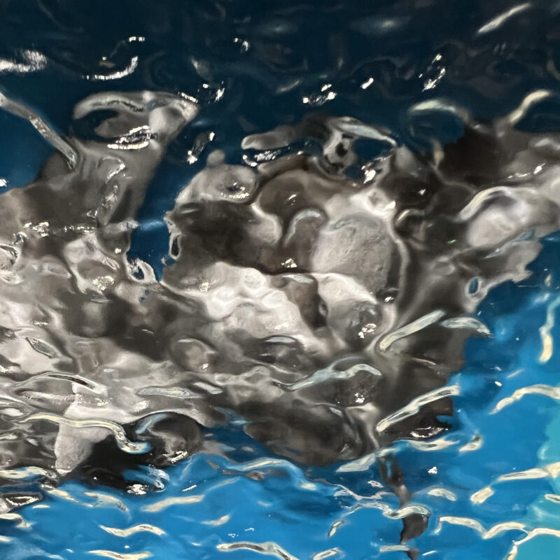 Manta Ray Duet Texture Detail
