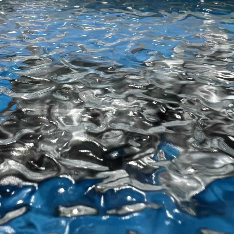 Manta Ray Duet Water Acrylic Detail