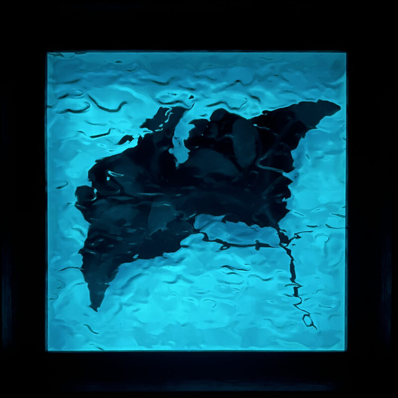Manta Ray Duet Glow