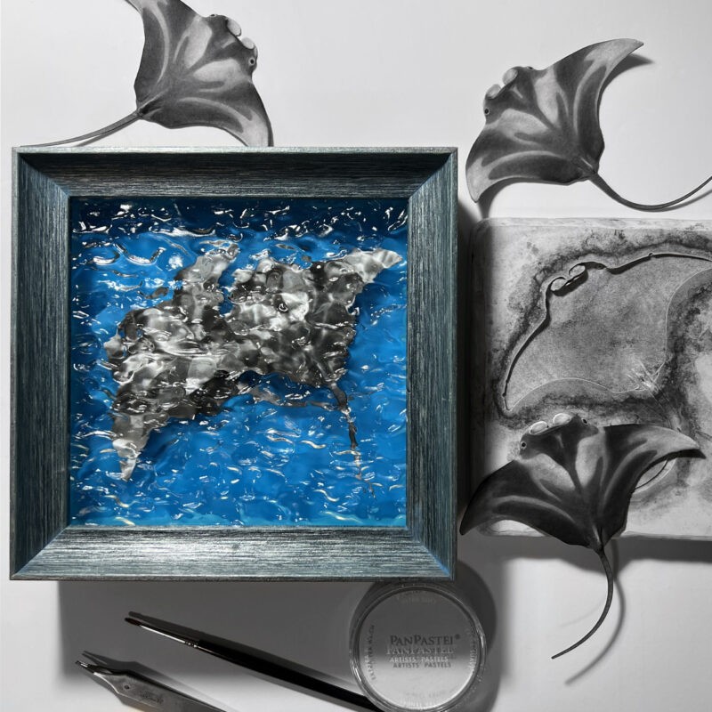 Manta Ray Duet Materials
