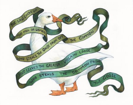The Goose and The Commons
