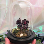 'Mutant Charon's Bloom' by Tia Kinsman