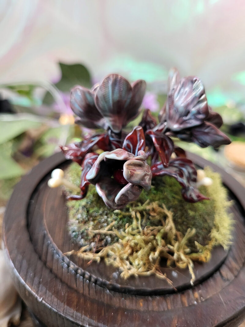 'Mutant Charon's Bloom' by Tia Kinsman
