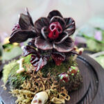'Mutant Charon's Bloom' by Tia Kinsman