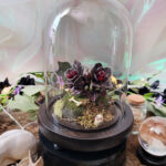 'Mutant Charon's Bloom' by Tia Kinsman