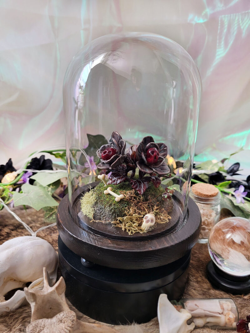 'Mutant Charon's Bloom' by Tia Kinsman