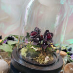 'Mutant Charon's Bloom' by Tia Kinsman