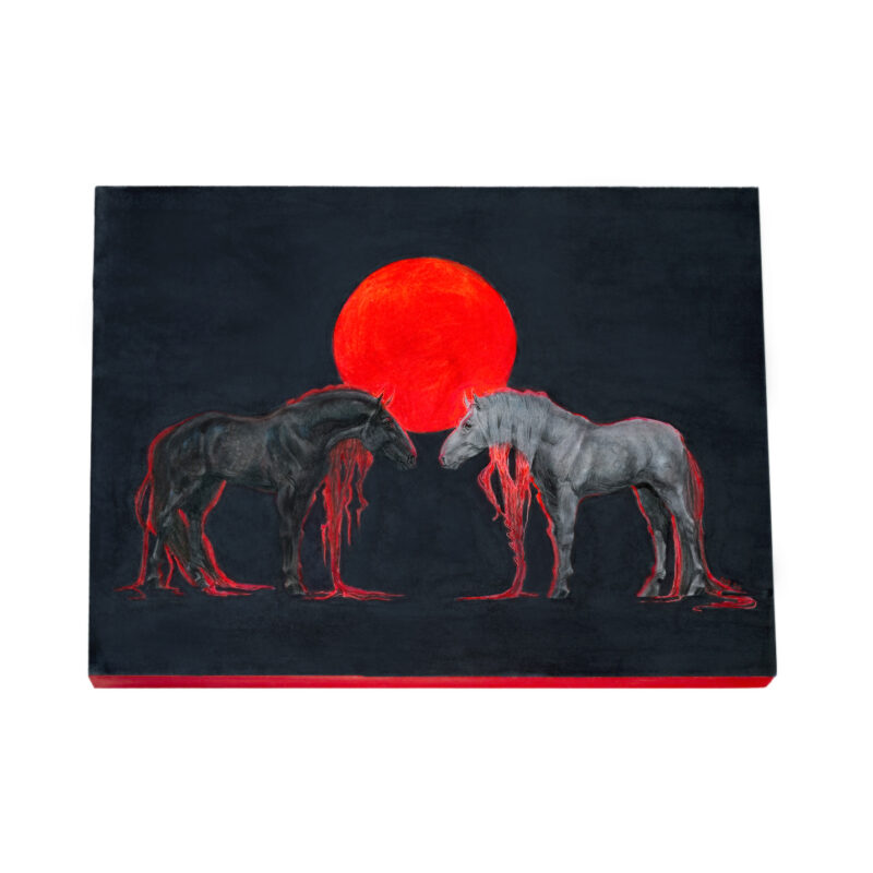 two beautiful horses one white one black stand under a red sun