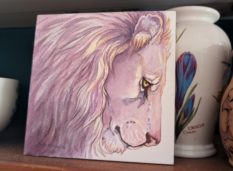 photo of a painting with jars in the background. Square watercolor painting is of a lion head in pale violets, pinks and creams