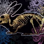 A golden bunny skeleton rests inside a burrow of chrysanthemums