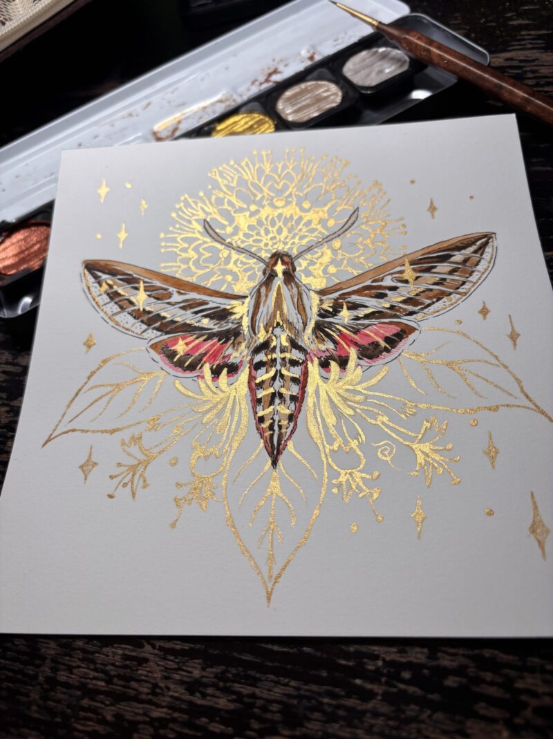 White Lined Sphinx Moth watercolor painting