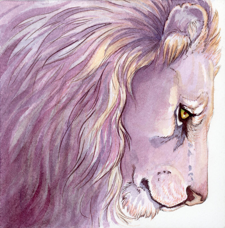 Square watercolor painting of a lion head in pale violets, pinks and creams