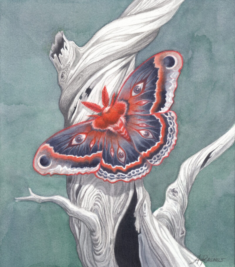 "Ex Nihilo" - by Angelika Rasmus