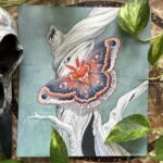 "Ex Nihilo" - by Angelika Rasmus
