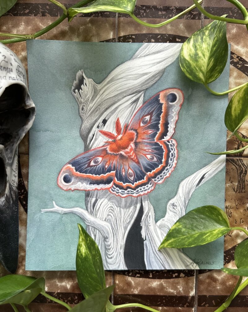 "Ex Nihilo" - by Angelika Rasmus